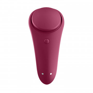 Sexy Secret - Panty Vibrator | Northern Fixations.