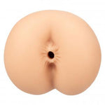 Boundless Anus | Northern Fixations.