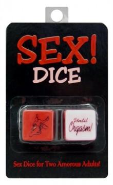 Sex! Dice | Northern Fixations.